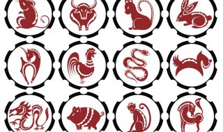 鸡和牛的属相合不合（鸡和鼠的属相合不合）