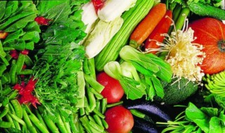 多吃蔬菜的好处 多吃蔬菜的好处是什么一年级