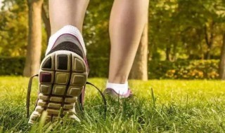 走路的好处 走路的好处及最佳时间