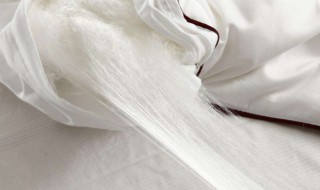 蚕丝被的好处和功效（大豆纤维被的优缺点）