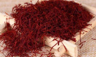 藏红花和红花的区别 藏红花是干嘛用的