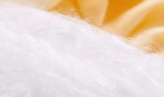 桑蚕丝和柞蚕丝的区别（柞蚕丝和桑蚕丝区别）