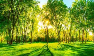 灰尘的好处 灰尘的好处和坏处各5条