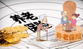 养老保险可以退吗（灵活就业养老保险可以退吗）