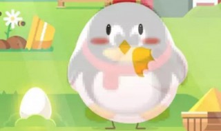 小鸡高级饲料怎么获得（小鸡庄园怎么吃高级饲料）