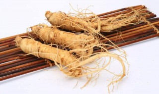 西洋参和人参的区别 西洋参和人参的区别对比照