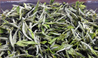 保存生茶的方法（生茶保存时间）