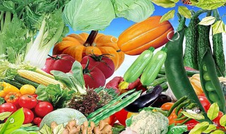 适合秋天种植的菜 适合秋天种植的菜品