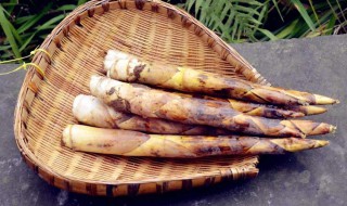 冬笋怎么找准位置 冬笋怎么找准位置原理