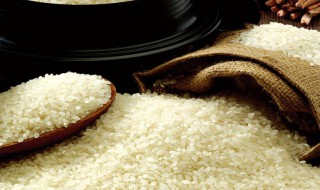 米里生虫子怎么处理 生虫大米千万不能吃