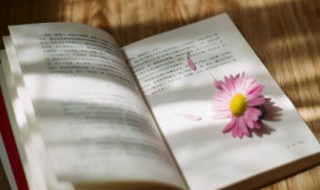 生活的说说（生活的说说唯美句子）