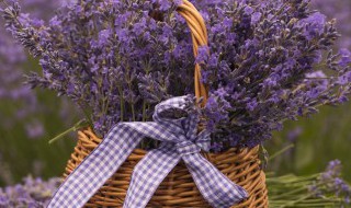 七月半烧纸封包怎么写（七月半烧纸封包怎么写爸爸）