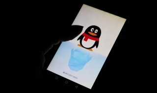 怎么看qq好友加了多久 怎么看qq好友加了多久天