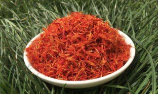 红花和藏红花的区别（红花和藏红花的区别作用）