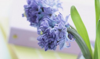 充满正能量阳光的说说 充满正能量阳光的说说图片