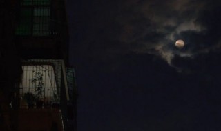 想念一个人的暖心说说 如何高情商的说我想你了