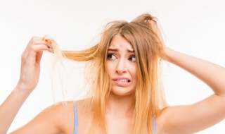 掉头发要补充什么营养 掉头发要补充什么营养素