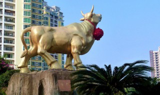 海口有什么好玩的景点（海口旅游必去十大景点）
