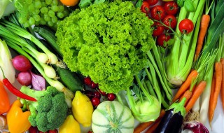 夏天吃什么菜最好（夏天吃什么菜最好菜谱窍门）