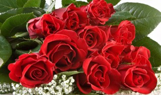 教师节礼物送什么最好 教师节礼物送什么最好 手工