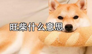 旺柴是什么意思（旺柴这个表情是什么意思）