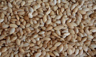 南瓜子有什么功效和作用 南瓜籽提高男性的性功能