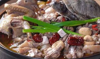 清肺吃什么好 清肺养肺效果最好的小偏方