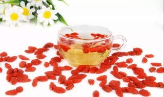 枸杞子和什么泡水喝补肾壮阳 枸杞和什么泡水喝补肾