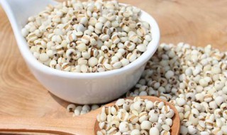 吃什么食物能去湿气 吃什么食物能去湿气什么水果去湿