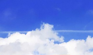 文艺森系的笔名（森系小众网名）