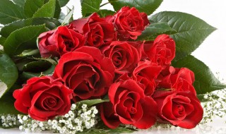 大学教师节的礼物都有什么 大学教师节送什么礼物给老师最有意义