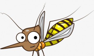 蚊子咬了以后如何止痒 蚊子咬了怎么可以止痒