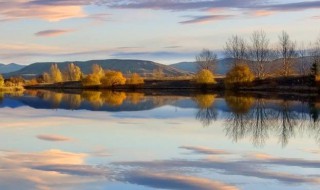 错过的句子经典短语（感情错过的句子经典短语）