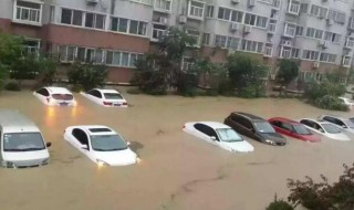 泡水车为什么不能要 泡水车二手车交易市场
