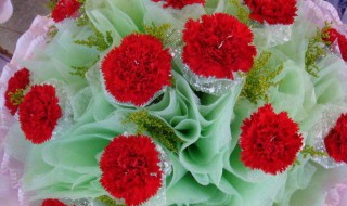 教师节送什么花好送几朵 教师节送什么花最佳