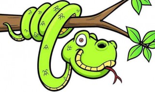 梦到蛇了是什么预兆（想怀孕的女人梦到蛇了是什么预兆）