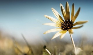 过去的说说心情短语 怀念过去的说说心情短语