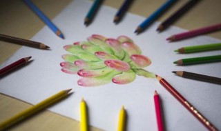 水溶性彩铅和油性彩铅的区别（辉柏嘉水溶性彩铅和油性彩铅的区别）