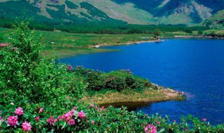 惦记牵挂短语（惦记牵挂短语早安）