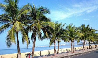 什么月份适合去三亚 什么月份适合去三亚旅行