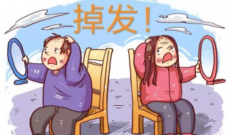 熬夜脱发怎么恢复（女生脱发严重怎么解决）