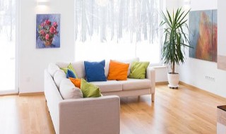 怎样去室内快速除甲醛 怎样去除室内甲醛 去除室内甲醛的方法