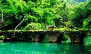 荔波大小七孔景点介绍（荔波大小七孔景点门票多少钱）