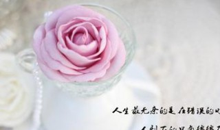 今天太累了的说说 今天太累了的说说图片