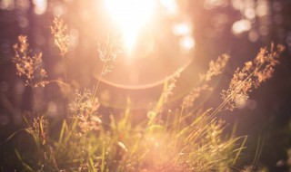 忙碌的生活很充实的说说（忙碌的生活很充实的说说发朋友圈）