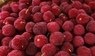 杨梅泡酒有什么功效 杨梅泡酒有什么功效能补肾吗