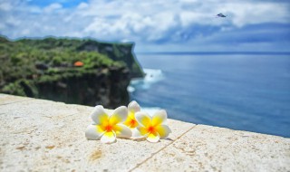 感恩所有的遇见说说 感恩所有的遇见说说心情佳句集锦13句