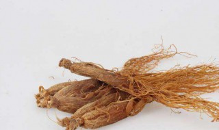 红参和高丽参有什么区别（红参和高丽参有什么区别功效）