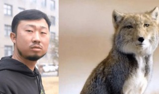 抖音无穷小亮藏狐啥梗什么意思 无穷小亮为啥叫藏狐