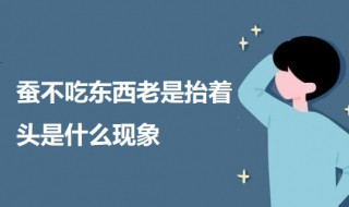 蚕不吃东西老是抬着头是什么现象 蚕全部都抬着头不吃